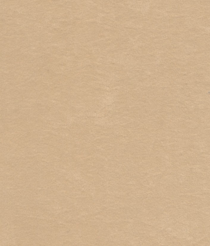 Color Beige de la tapa